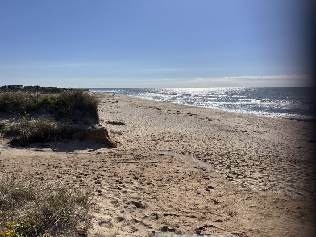 a sandy beach with waves crashing (MyCoast AI)