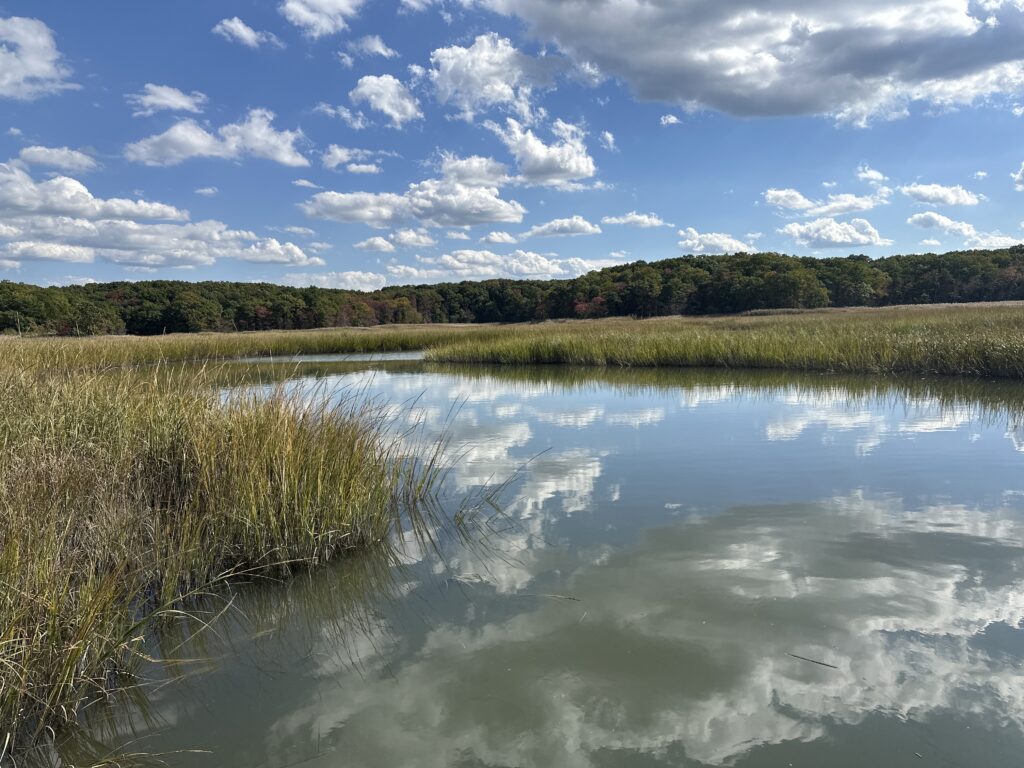 a body of water with grass and trees around it (MyCoast AI)