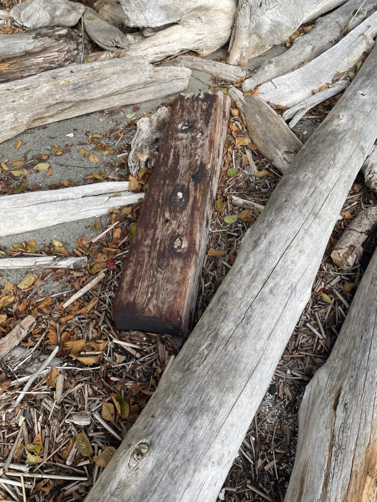 a wooden piece of wood (MyCoast AI)