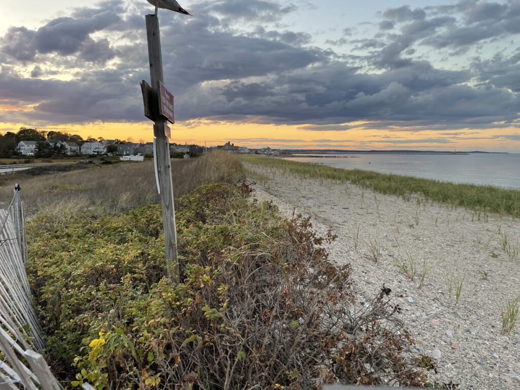 a beach with a sign (MyCoast AI)