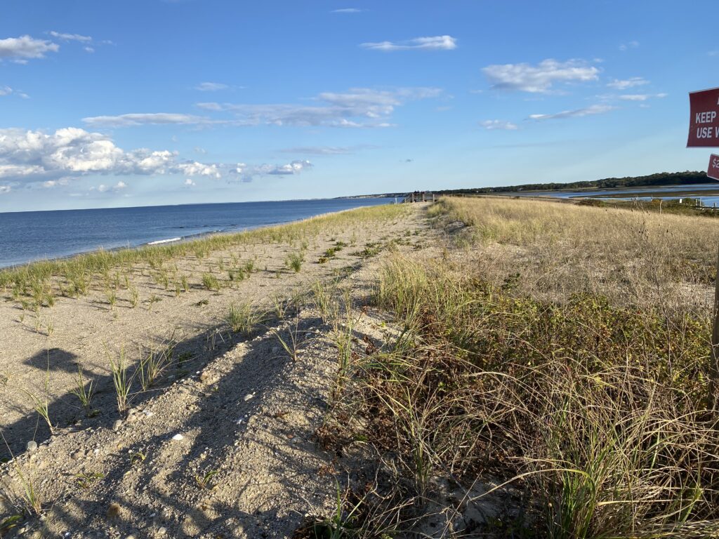 a sandy beach with grass and water (MyCoast AI)
