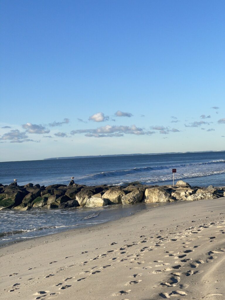 a beach with rocks and water (MyCoast AI)