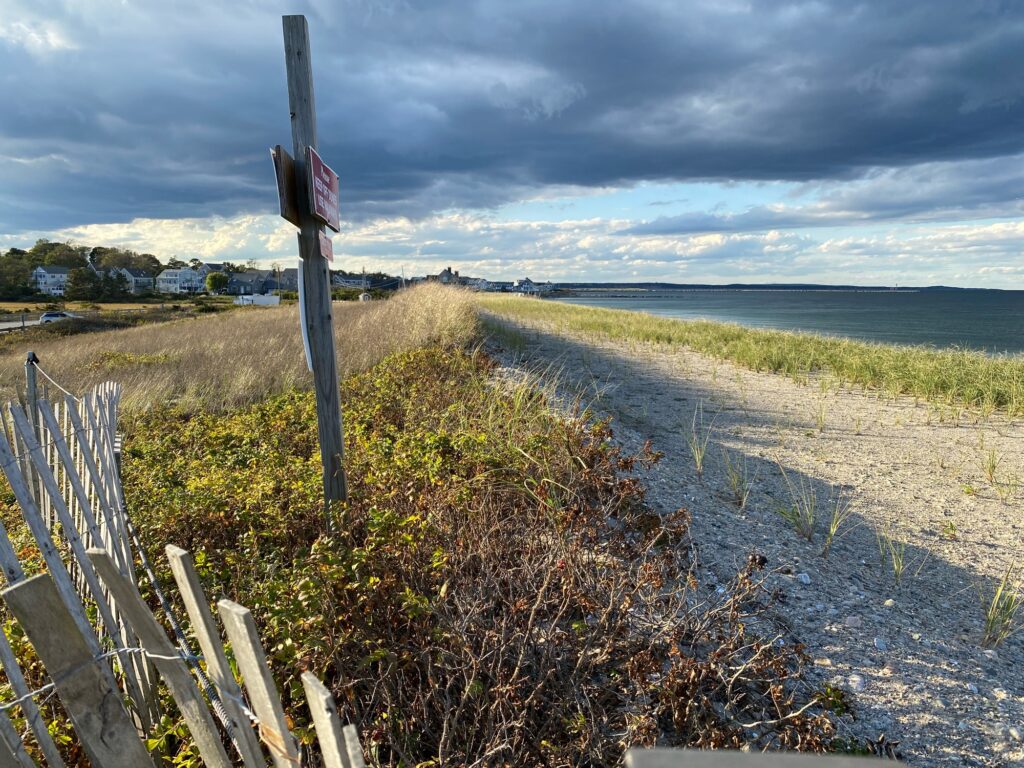 a bench sits by a road (MyCoast AI)