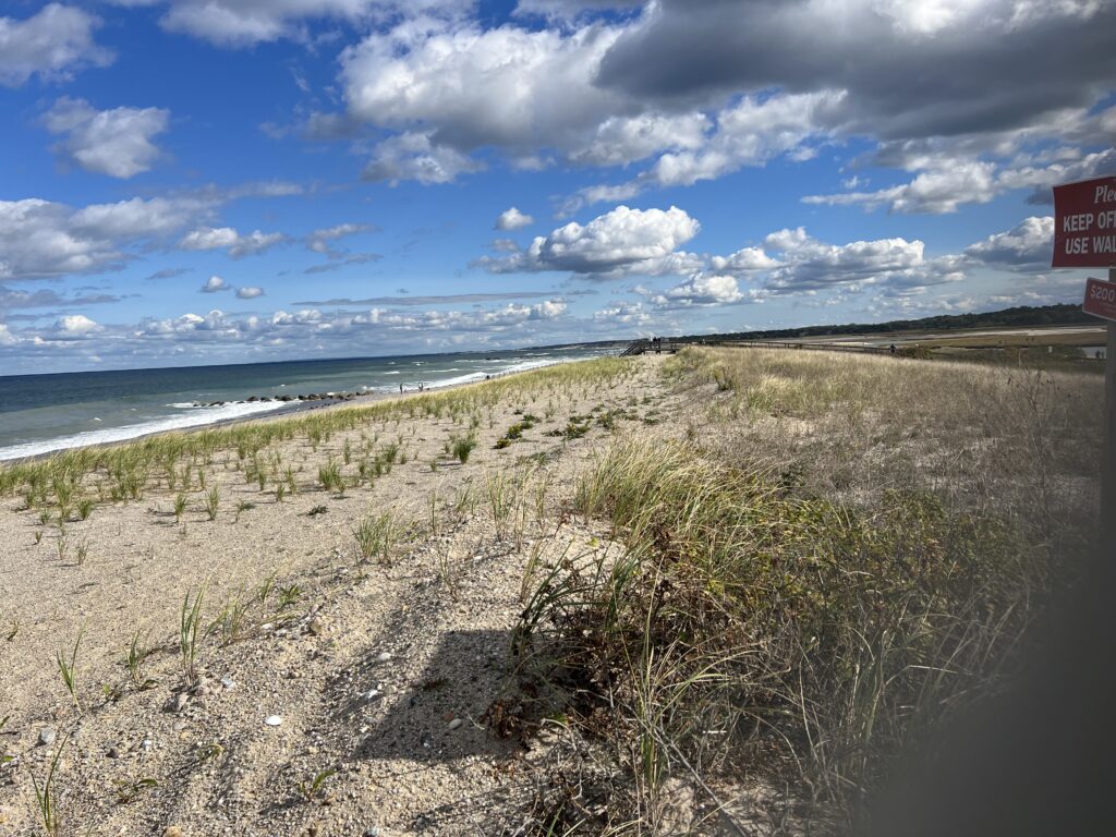 a sandy beach with bushes and water (MyCoast AI)