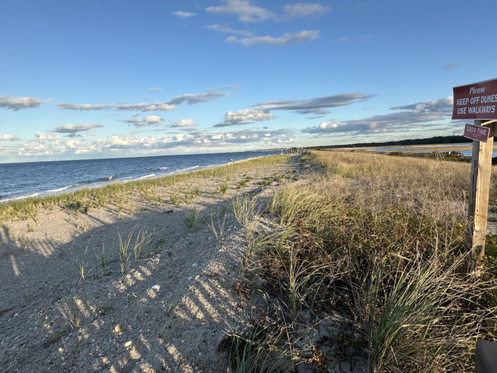 a sandy beach with bushes and a sign (MyCoast AI)