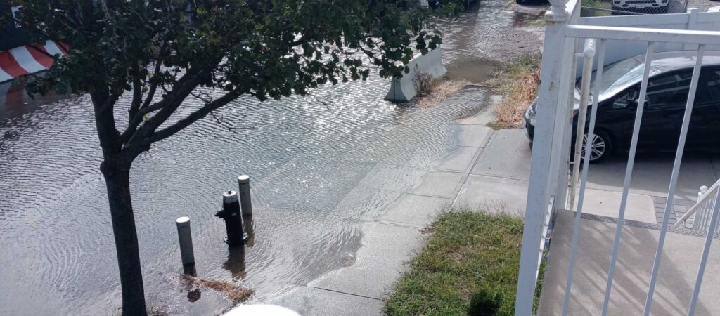 a flooded street with a fire hydrant (MyCoast AI)