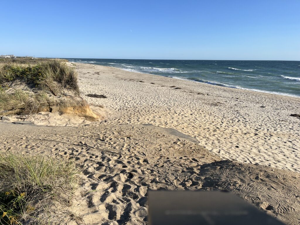 a sandy beach with a body of water in the background (MyCoast AI)