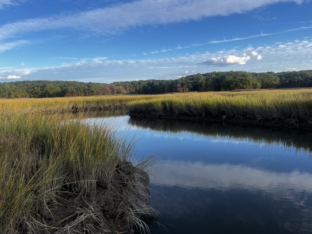 a body of water with grass and trees around it (MyCoast AI)