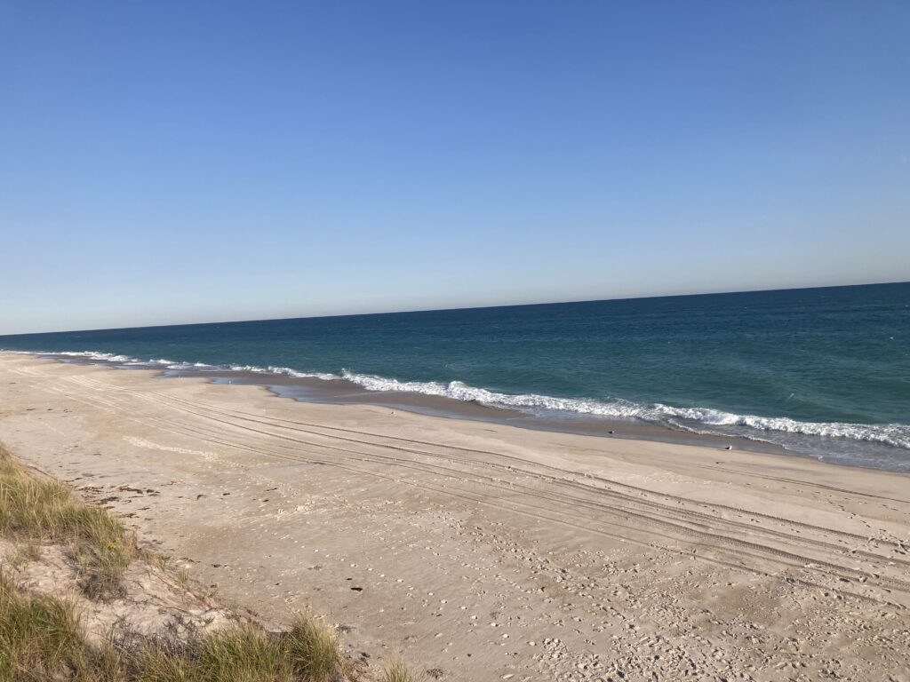 a sandy beach with waves crashing (MyCoast AI)