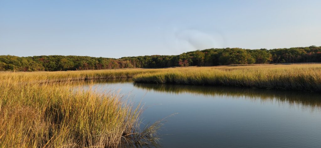 a body of water with grass and trees around it (MyCoast AI)