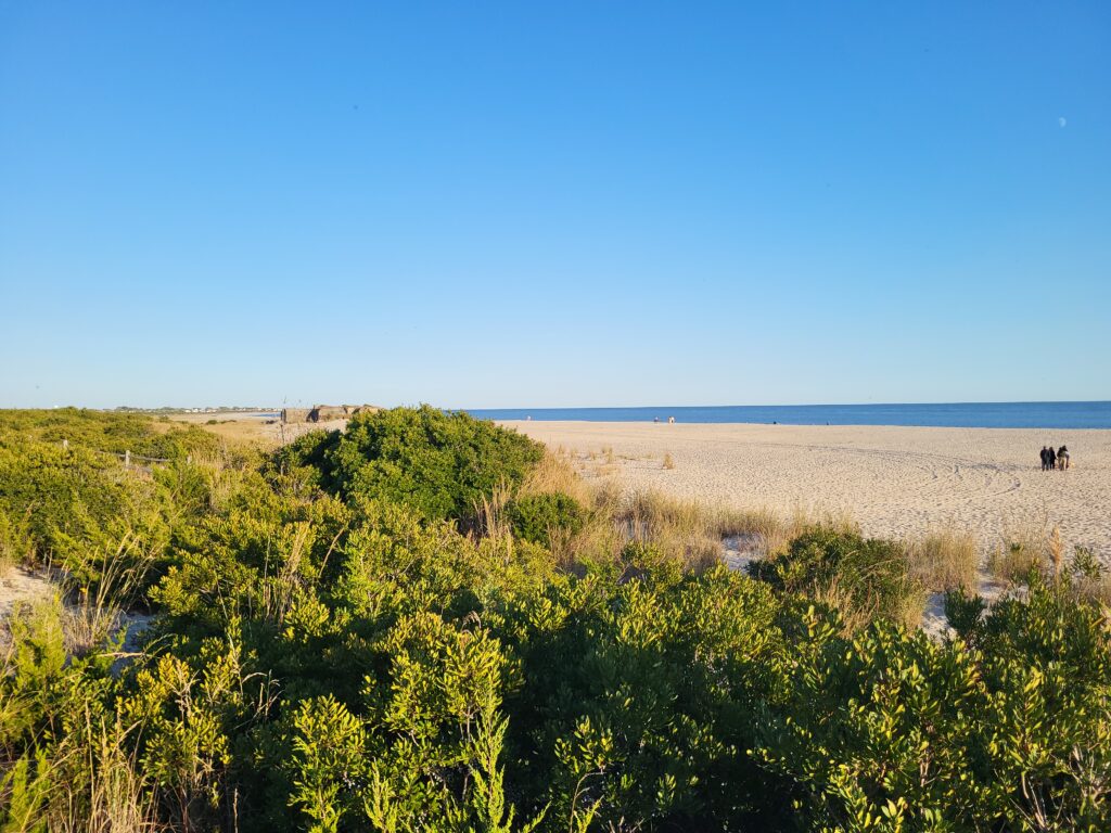 a large area of land with trees (MyCoast AI)