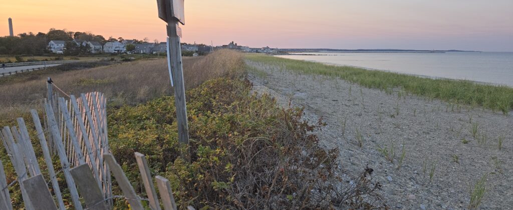 a fence on a beach (MyCoast AI)