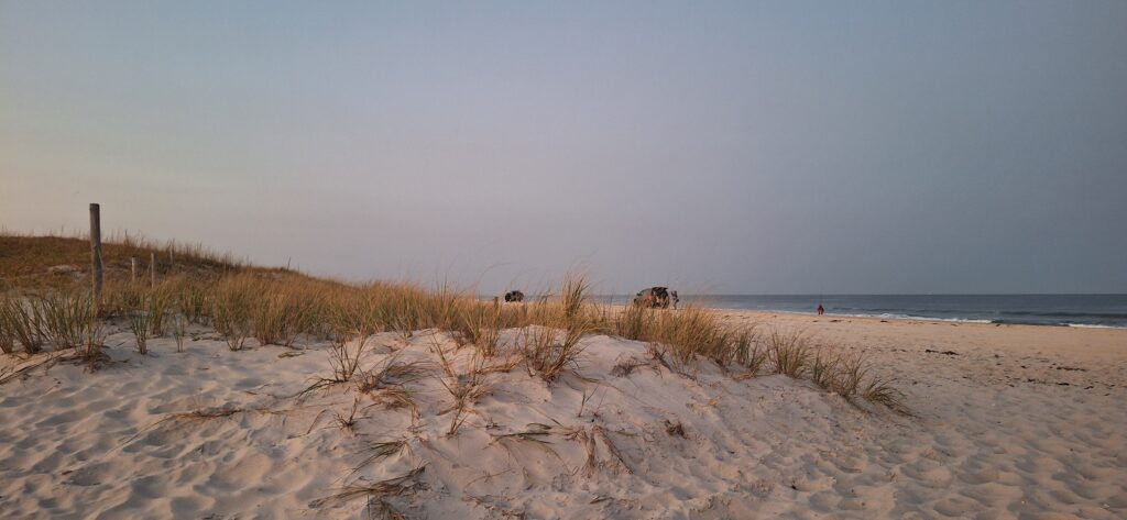 a sandy beach with grass and water (MyCoast AI)