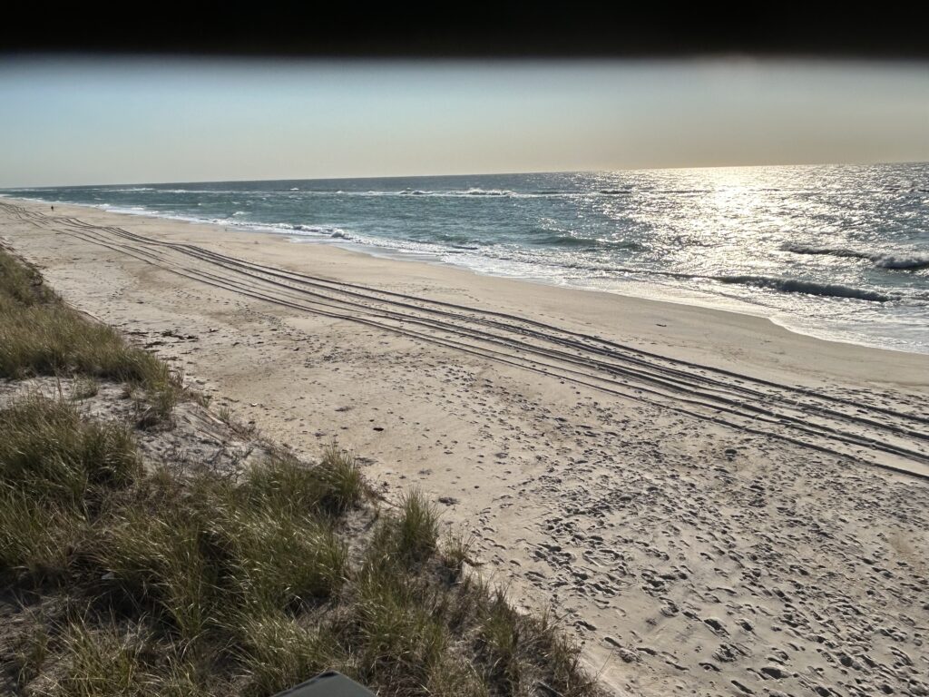 a sandy beach with waves crashing on it (MyCoast AI)