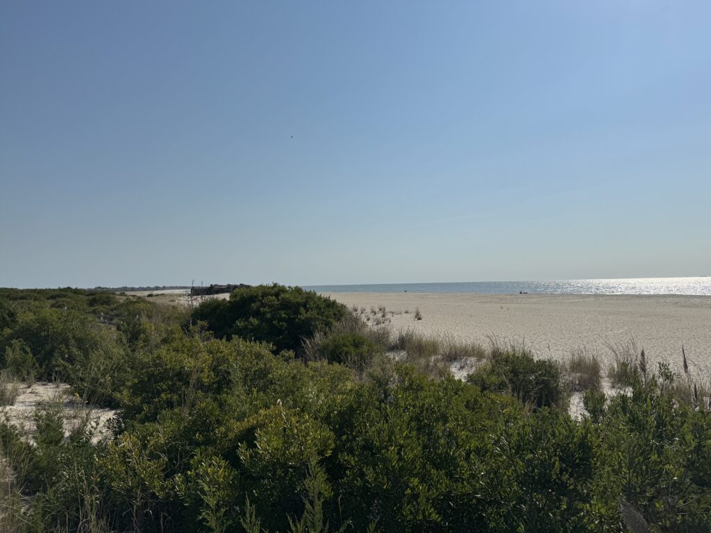 a beach with trees and bushes (MyCoast AI)