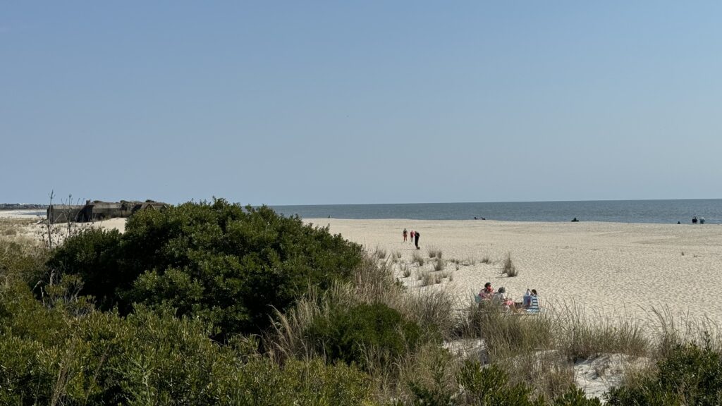 people walking on a beach (MyCoast AI)