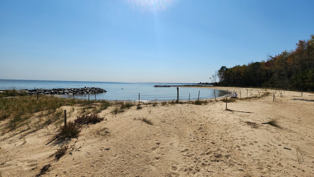 a sandy beach with a pier and trees (MyCoast AI)