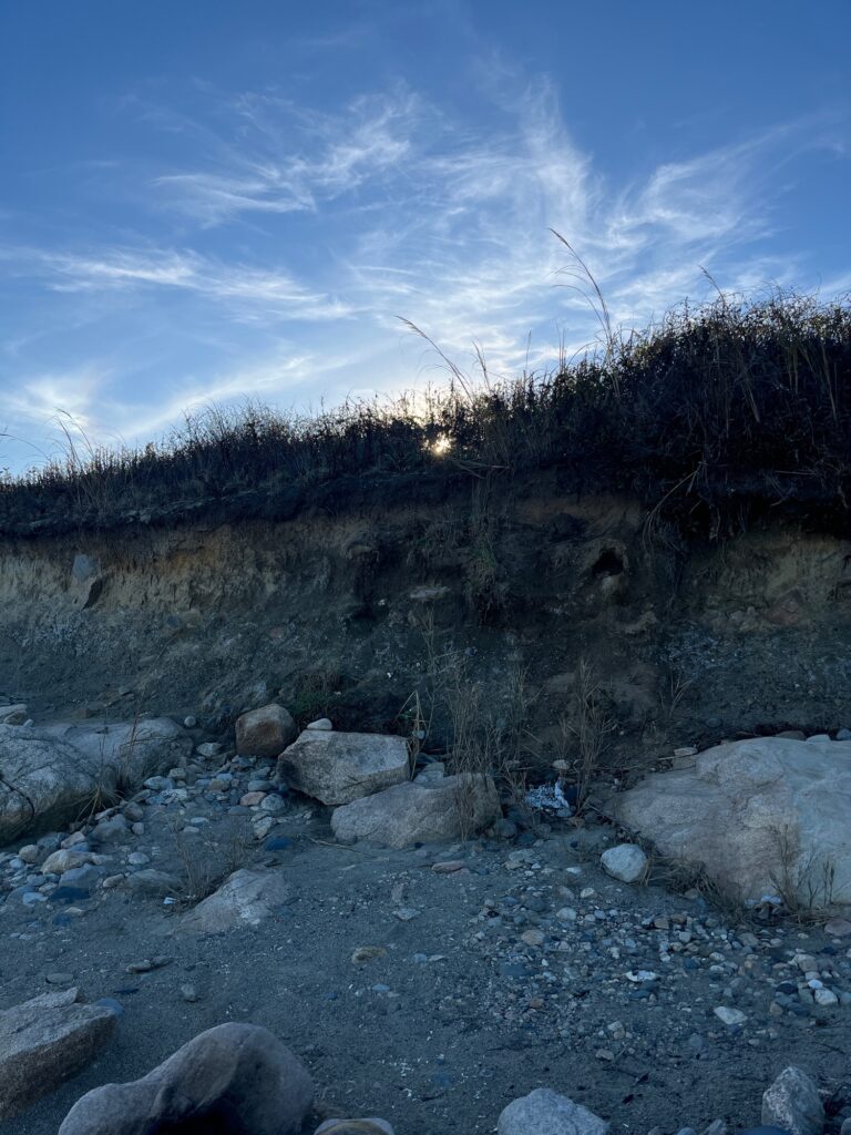 a rocky area with trees in the background (MyCoast AI)