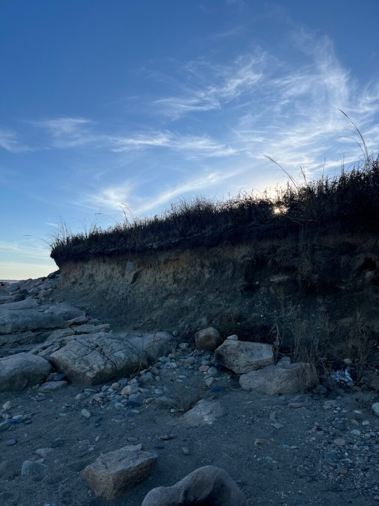 a rocky beach with grass and trees (MyCoast AI)