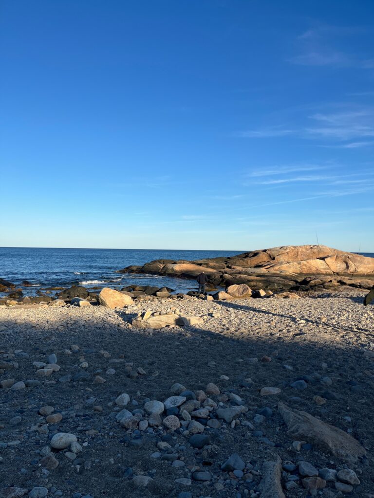 a rocky beach with a body of water in the background (MyCoast AI)