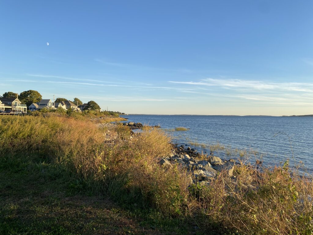 a grassy area next to a body of water (MyCoast AI)