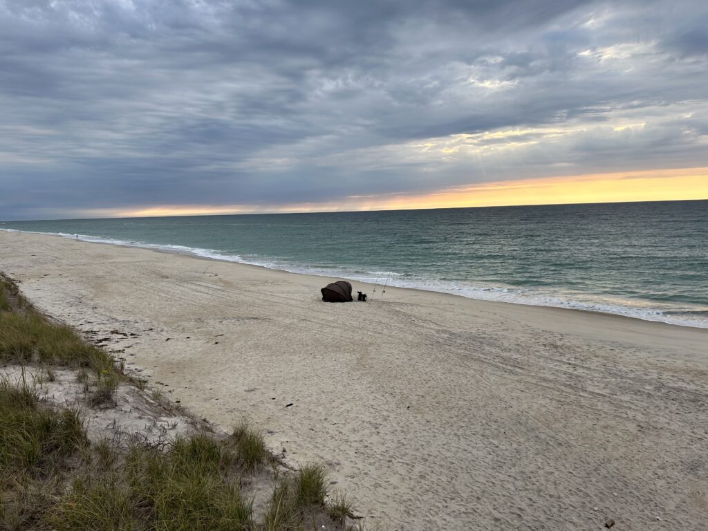 a beach with a body of water and a cloudy sky (MyCoast AI)