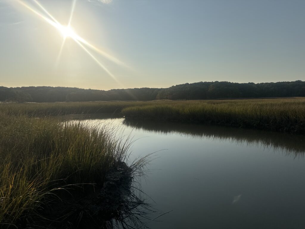 a body of water with grass and trees around it (MyCoast AI)