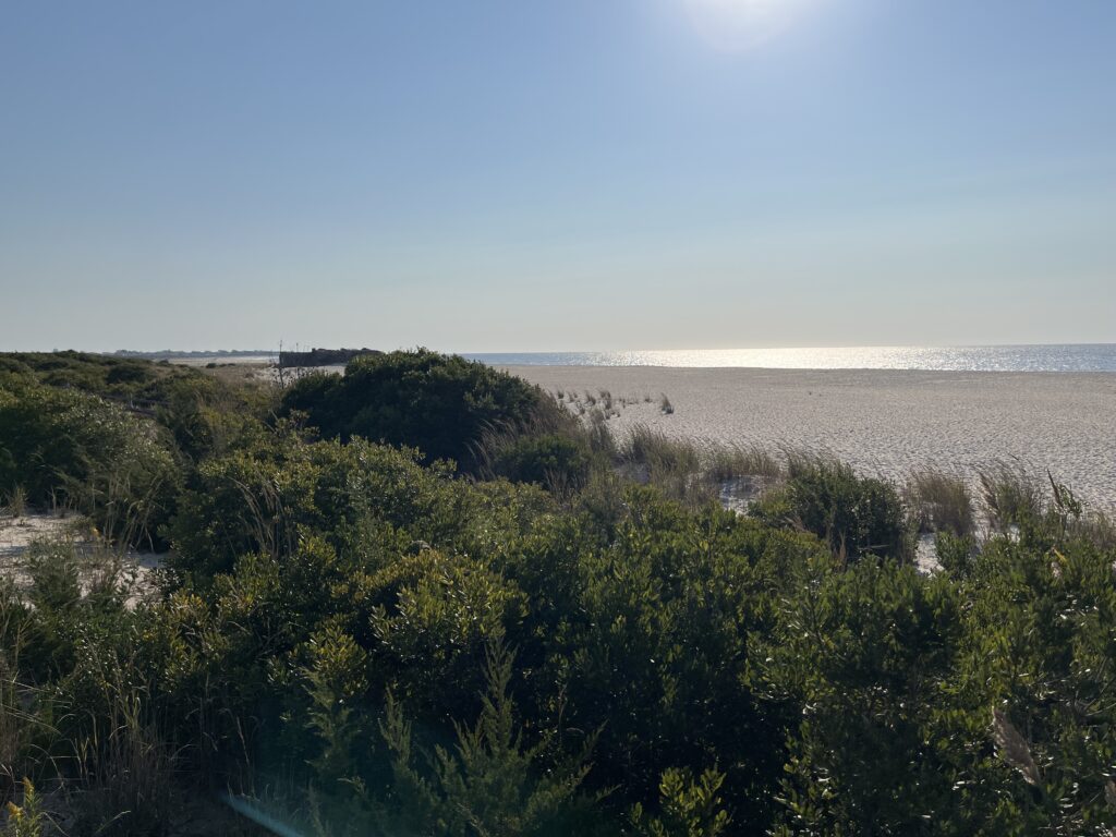 a landscape with trees and water in the background (MyCoast AI)