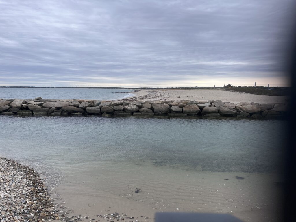 a rocky beach with a body of water in the background (MyCoast AI)