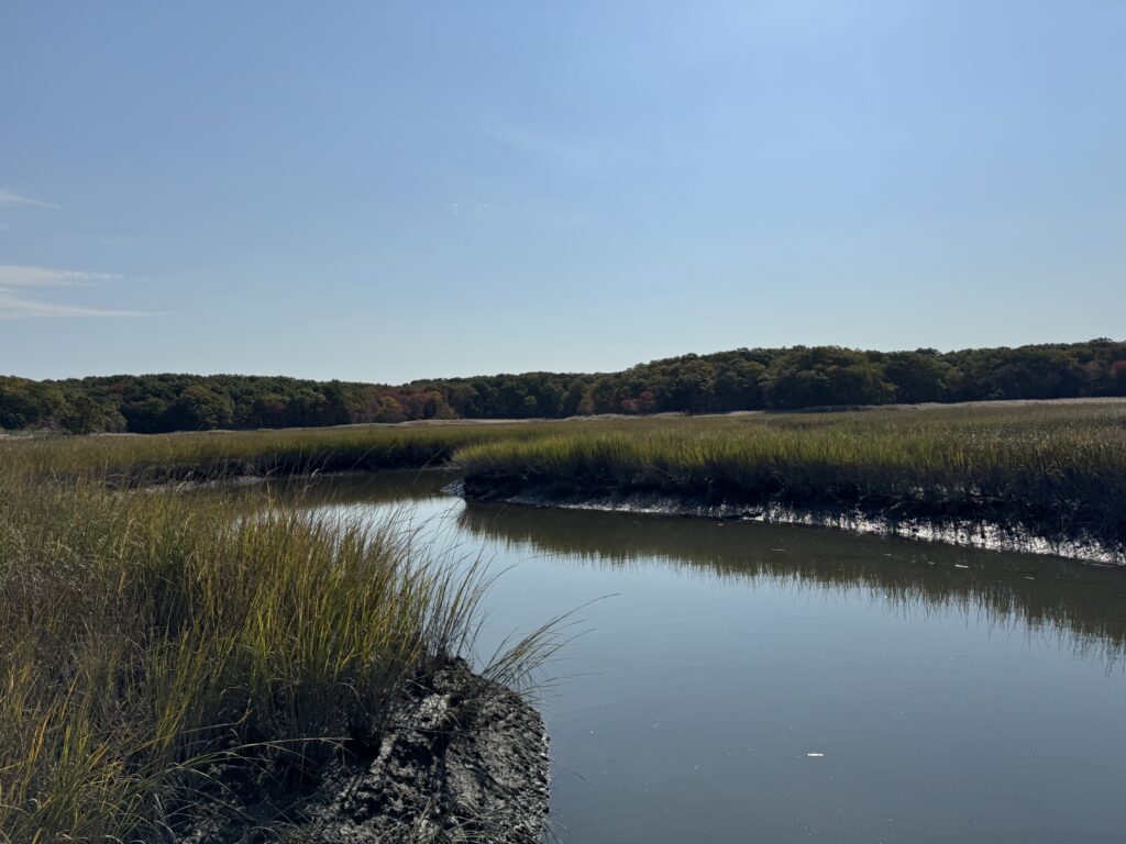 a body of water with grass and trees around it (MyCoast AI)