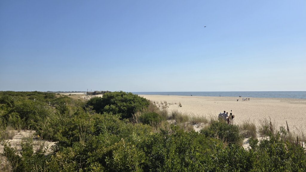 a group of people walking on a sandy beach (MyCoast AI)