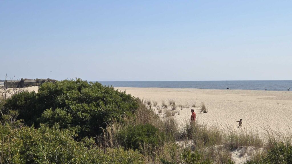 a person standing on a beach (MyCoast AI)