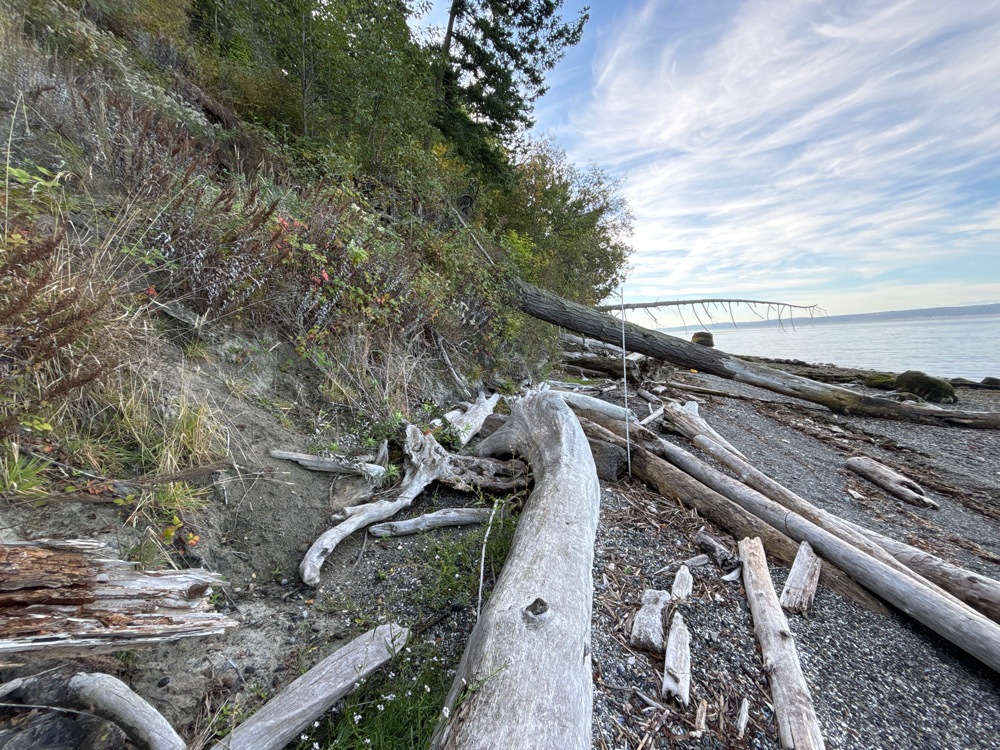 a wooden fence on a beach (MyCoast AI)