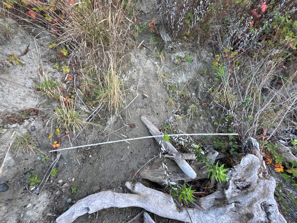 a broken pipe in the ground (MyCoast AI)