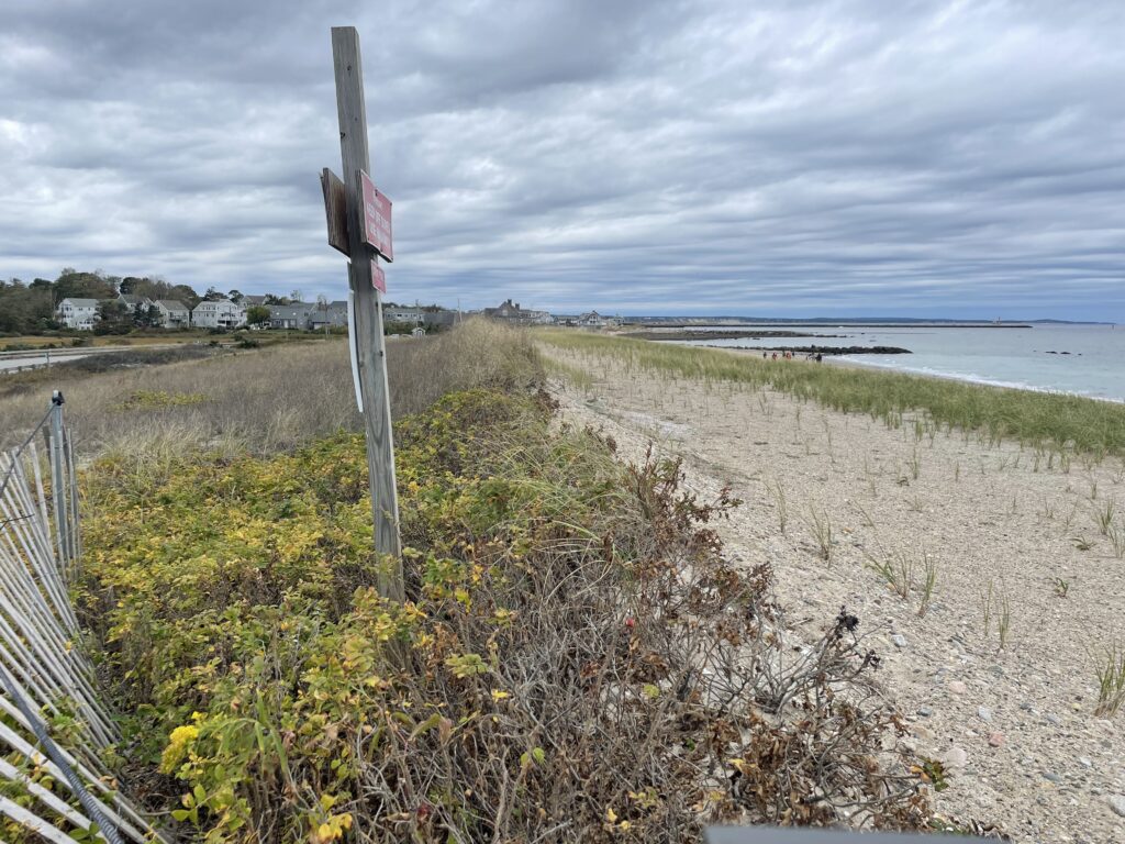a sign on a beach (MyCoast AI)
