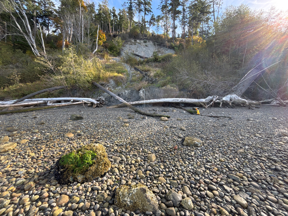 a rocky area with a stream running through it (MyCoast AI)