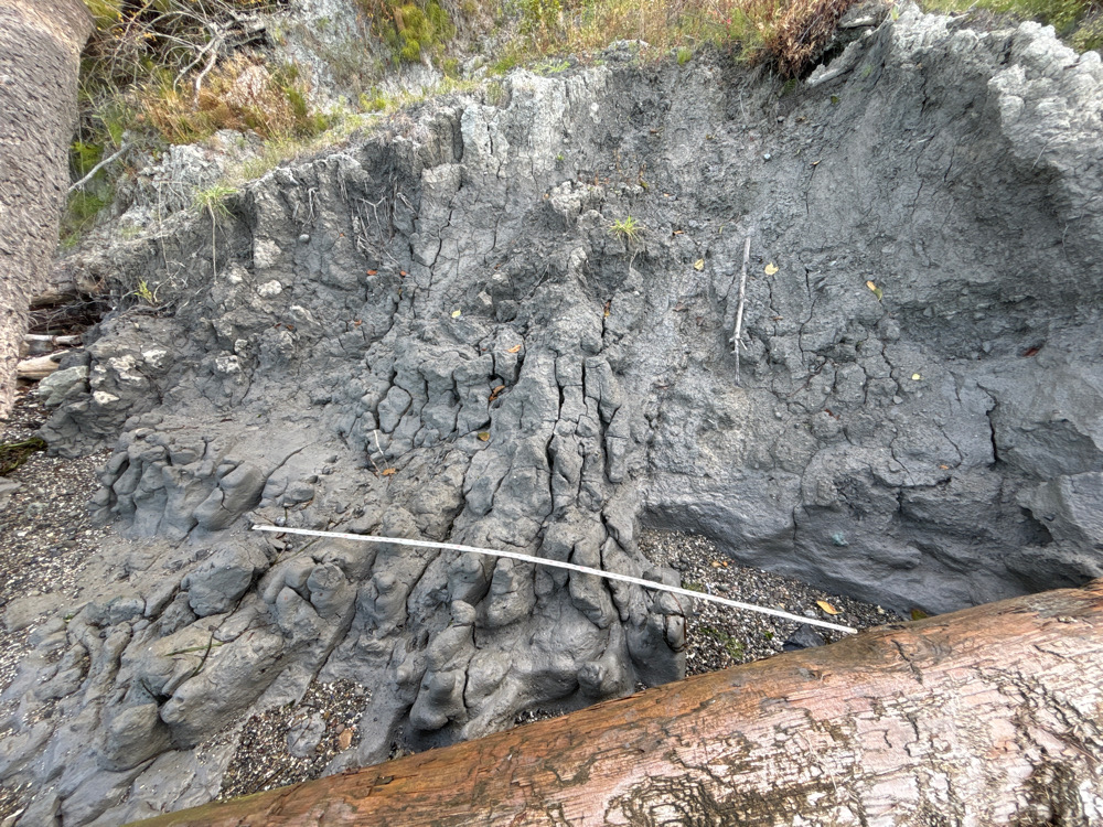 a rock with a rope on it (MyCoast AI)