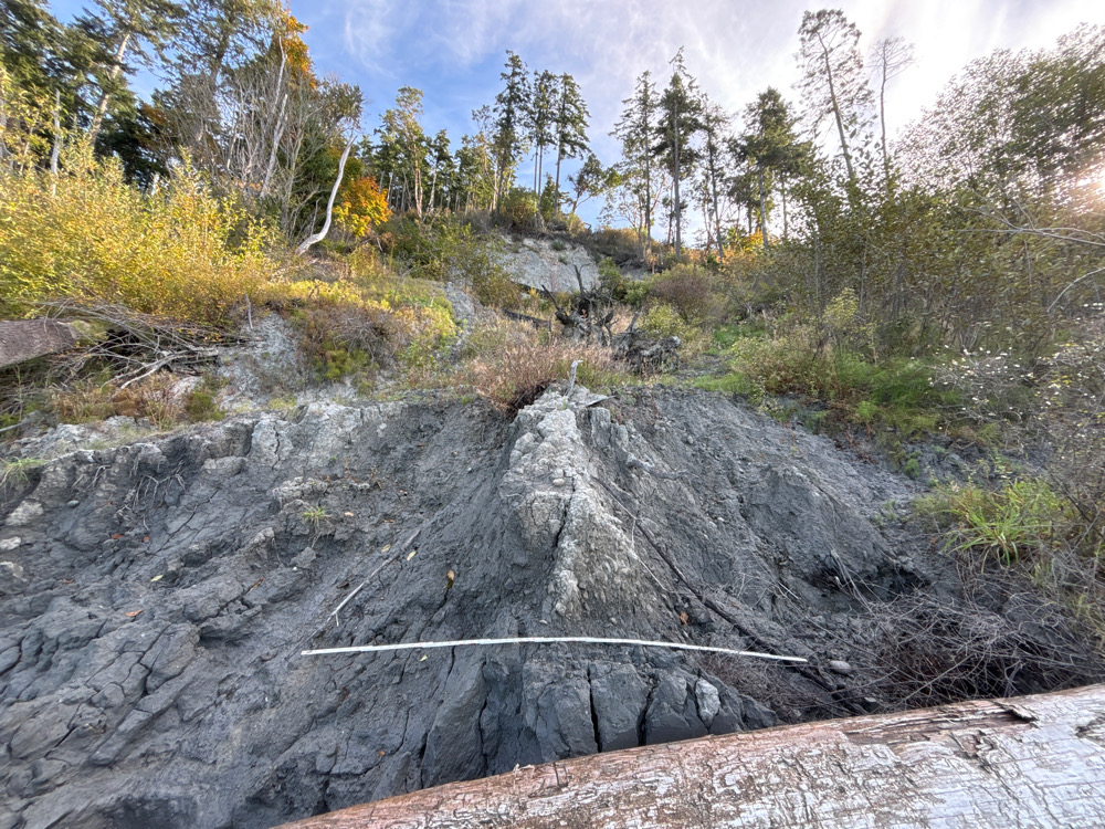a rocky area with trees in the background (MyCoast AI)
