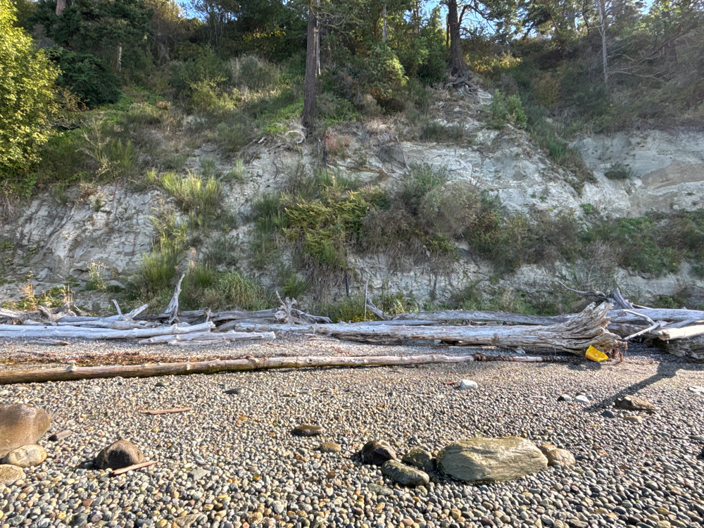 a rocky area with trees in the background (MyCoast AI)