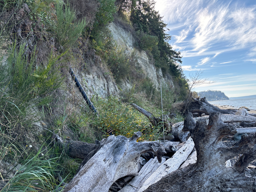 a log on a hill (MyCoast AI)