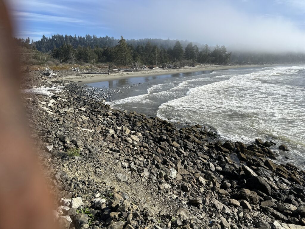 a rocky beach with trees in the background (MyCoast AI)