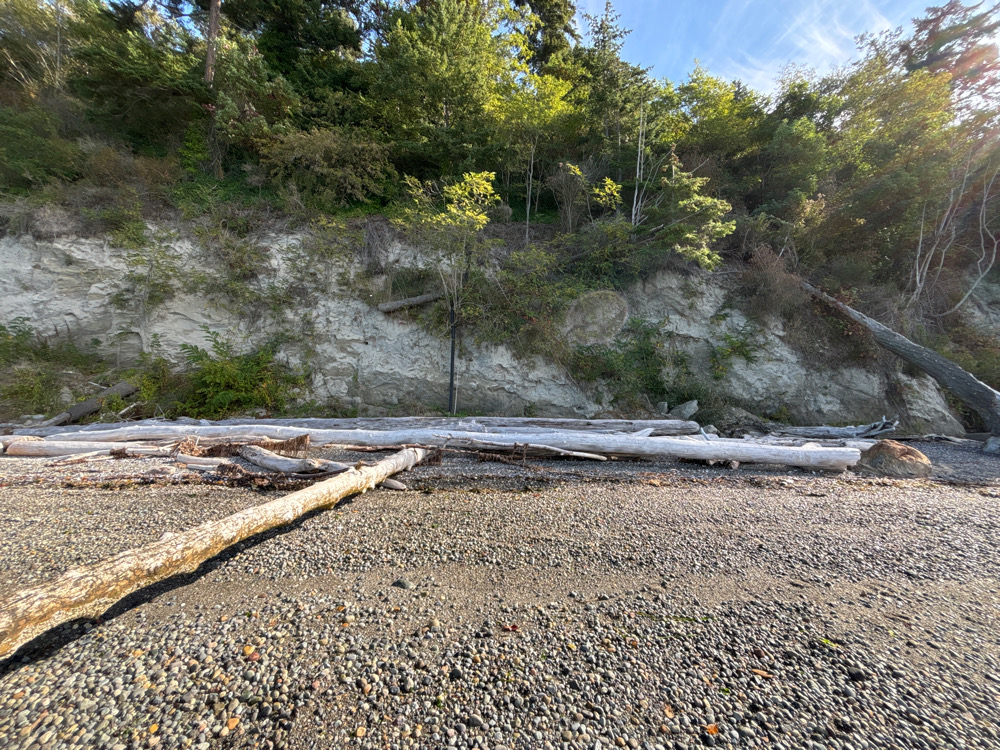 a rocky area with trees in the background (MyCoast AI)