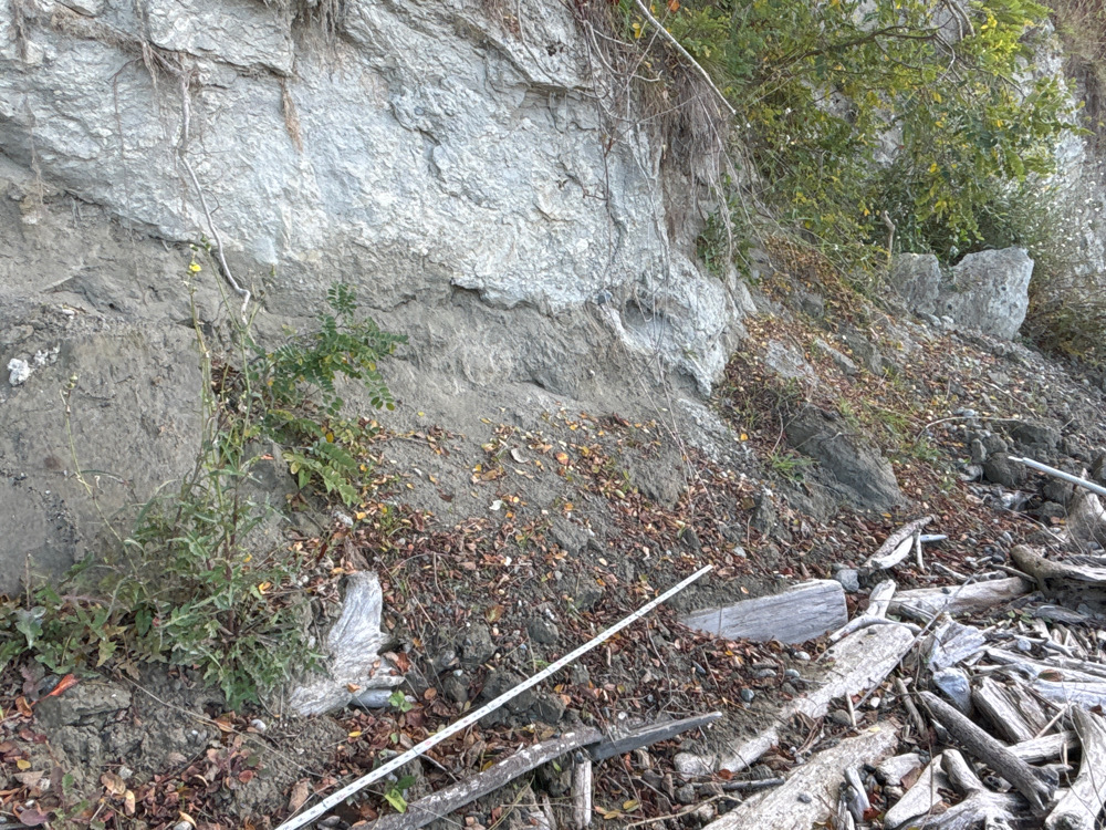 a rocky area with a fence and a rock wall (MyCoast AI)