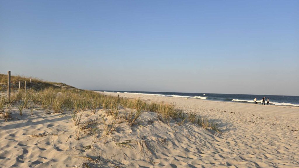 a sandy beach with people walking on it (MyCoast AI)