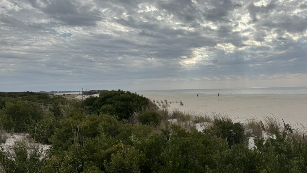 a beach with bushes and trees (MyCoast AI)