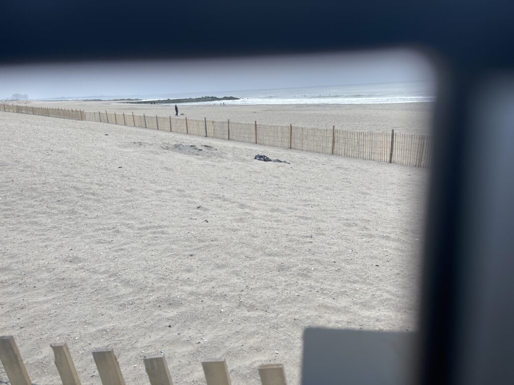 a beach with a fence (MyCoast AI)