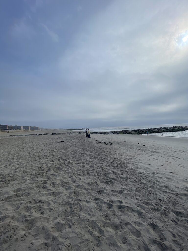 people walking on a beach (MyCoast AI)