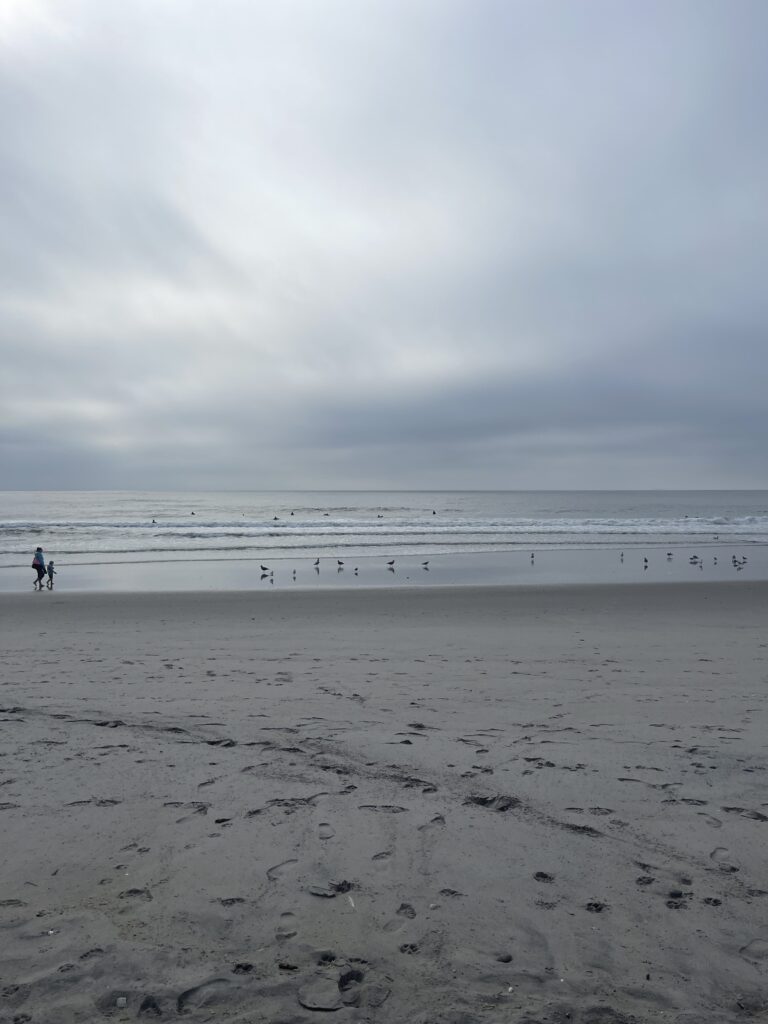 people walking on a beach (MyCoast AI)