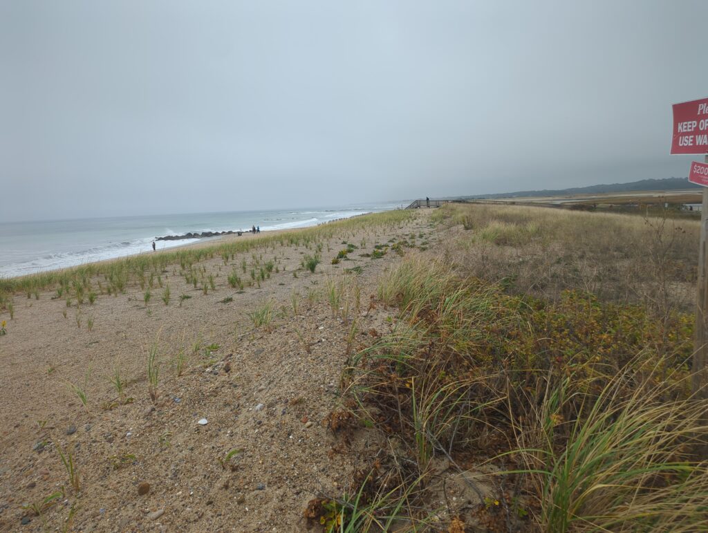 a beach with a sign (MyCoast AI)