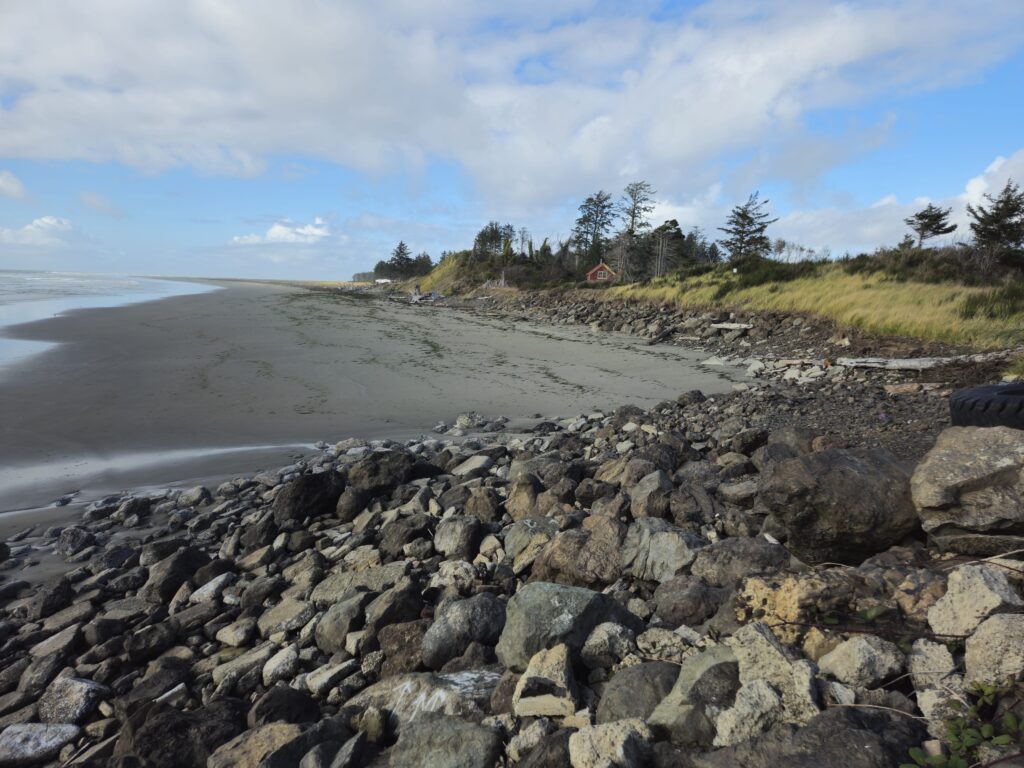a rocky beach with trees and a hill in the background (MyCoast AI)